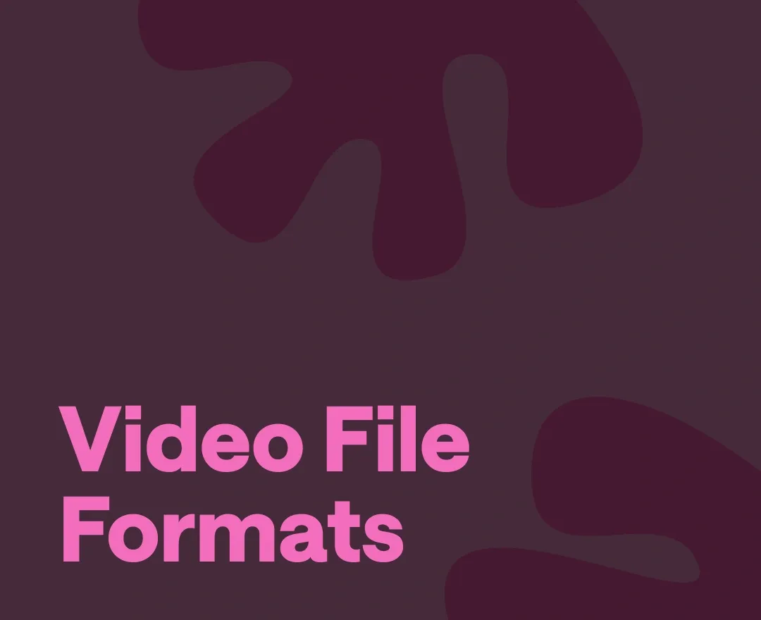 Full Guide to All Types of Video File Formats
