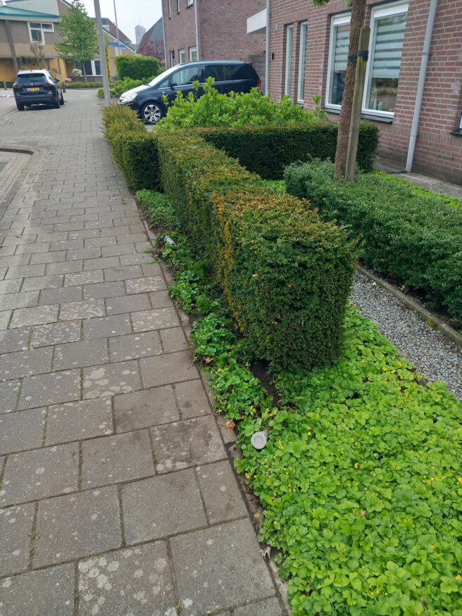 Alle ballen verzamelen…….. — Geocache of the Week – Official Blog
