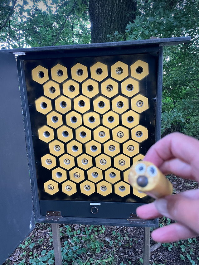 Kop van Drenthe GeoTour – Official Blog