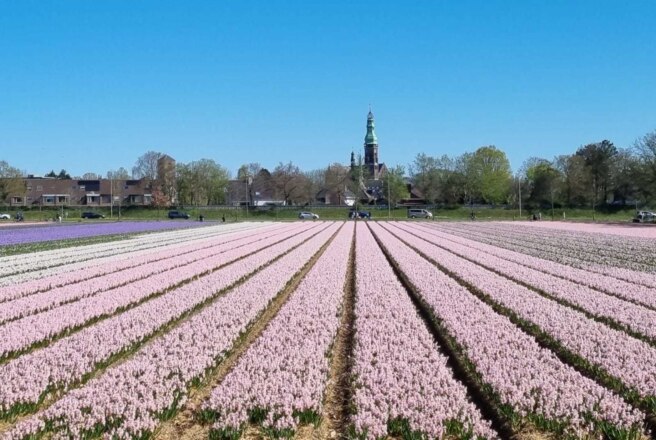 Lisse — Geocache of the Week – Official Blog