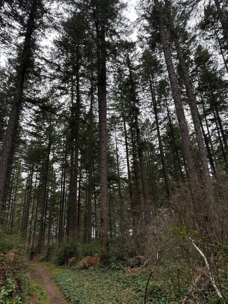 Spaceballs the Cache — Geocache of the Week – Official Blog